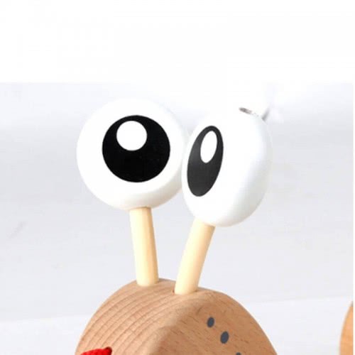 Hape Walk-A-Long Snail - Βόλτα Με Το Σαλιγκαράκι Και Μαθαίνω Τα Σχήματα - 5Τεμ. E0349 6943478008816