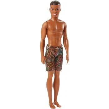 Mattel Barbie Beach African American Ken Doll FJF08 / DWK07 887961383263