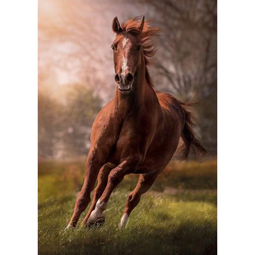 Clementoni Puzzle High Quality Collection The Horse 1500 Pcs 1220-31811 8005125318117