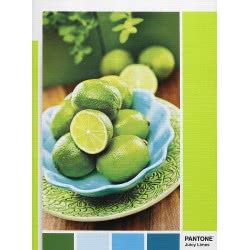 Clementoni Παζλ Pantone Πράσινα Lime 1000 Τμχ 1260-39492 8005125394920