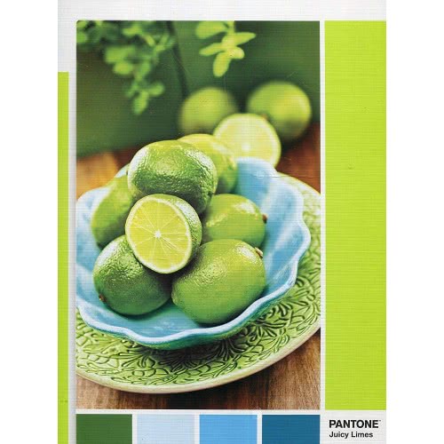 Clementoni Puzzle Pantone Lime Punch 1000 Pcs 1260-39492 8005125394920