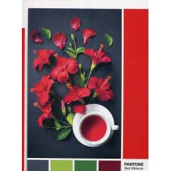 Clementoni Παζλ Pantone Κόκκινος Ιβίσκος 1000 Τμχ 1260-39494 8005125394944