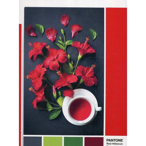 Clementoni Παζλ Pantone Κόκκινος Ιβίσκος 1000 Τμχ 1260-39494 8005125394944