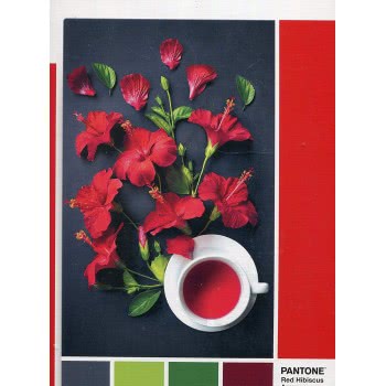 Clementoni Παζλ Pantone Κόκκινος Ιβίσκος 1000 Τμχ 1260-39494 8005125394944