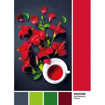 Clementoni Παζλ Pantone Κόκκινος Ιβίσκος 1000 Τμχ 1260-39494 8005125394944