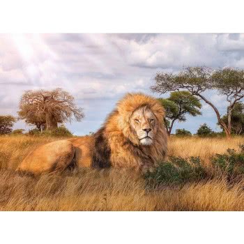 Clementoni Puzzle High Quality Collection The King 1000 Pcs 1220-39479 8005125394791