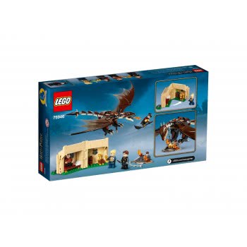 LEGO Harry Potter Hungarian Horntail Triwizard Challenge 75946 5702016368673