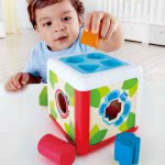 Early Explorer Ξύλινο Shape Sorting Box - Garden E0507 6943478024960