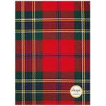 shape notebooks Notebook Spiral 1 Subject A4 Scotch 21X27.9 Cm - 5 Colours SCOTCHA41 5200399803762