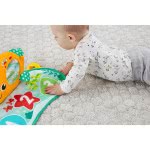 Mattel Εκπαιδευτική Φαλαινίτσα Δραστηριοτήτων GGK35 887961781076