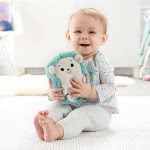 Mattel Calming Vibes Hedgehog Soother FXC58 887961687750