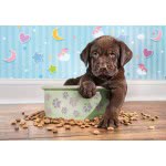 Clementoni Παιδικό Παζλ Color Lovely Puppy 180 Τμχ 1210-29754 8005125297542