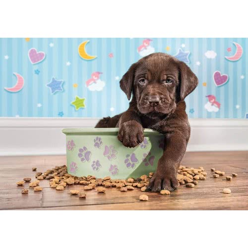 Clementoni Παιδικό Παζλ Color Lovely Puppy 180 Τμχ 1210-29754 8005125297542