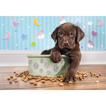 Clementoni Kids Puzzle Super Color Lovely Puppy 180 Pcs 1210-29754 8005125297542