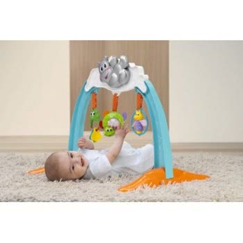 Chicco Γυμναστήριο Ιπποποταμάκι Y02-05195 8003670824381