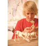 4M Kidzlabs Dinosaur Τυραννόσαυρος Rex Ανασκαφή 3221 4893156032218