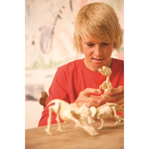 4M Kidzlabs Dinosaur Τυραννόσαυρος Rex Ανασκαφή 3221 4893156032218