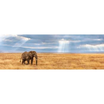 Clementoni Puzzle Panorama High Quality Collection Elephant 1000 Pcs 1220-39484 8005125394845