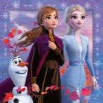 Ravensburger Disney Frozen II Puzzle 3X49 Pieces 05011 4005556050116