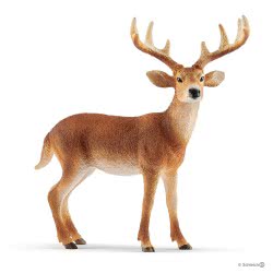 Schleich Wild Life White-Tailed Buck 14818 4055744029608