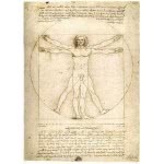 Ravensburger Παζλ 1000Τεμ. Da Vinci: Μελέτη 15250 4005556152506