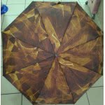 chanos Women Folding Umbrella 0218 5203199002182
