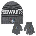 Cerda 2 Set Pieces Harry Potter 2200004323 8427934291373