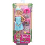 Mattel Barbie Wellness Ημέρα Ομορφιάς Σπα Κούκλα Με Κουτάβακι Και 9 Αξεσουάρ GKH73 / GJG55 887961810899