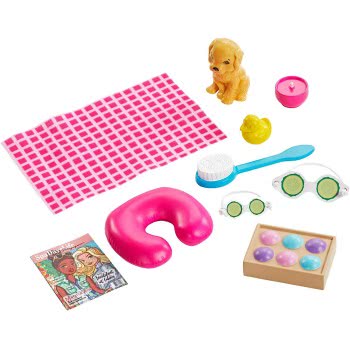 Mattel Barbie Wellness Spa Doll, Blonde, With Puppy And 9 Accessories GKH73 / GJG55 887961810899