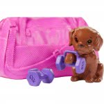 Mattel Barbie Wellness Ημέρα Ομορφιάς Fitness Κούκλα - Γυμναστική GKH73 / GJG57 887961810905