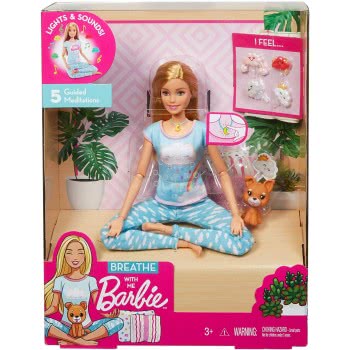 Mattel Barbie Wellness - Γιόγκα GNK01 887961872446