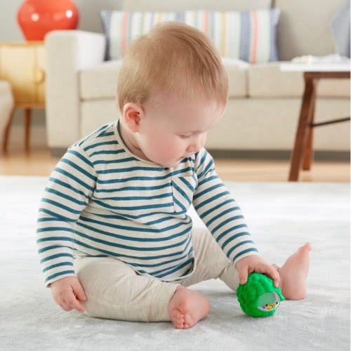 Mattel Broccoli Squeaker Sheep GJW22 / GLD07 887961836943