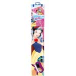 Gunther Disney Princess Single Line Kite 1190 4001664011902