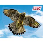 Gunther Falke Χαρταετός Πλαστικός Γεράκι 92 X 62 Cm 1230 4001664012305