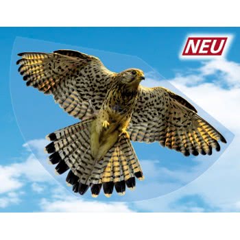 Gunther Falke Χαρταετός Πλαστικός Γεράκι 92 X 62 Cm 1230 4001664012305
