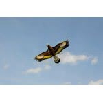 Gunther Falke 92 X 62 Cm Single Line Kite 1230 4001664012305