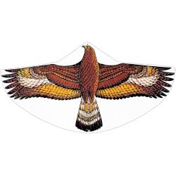 Gunther Steinadler Single Line Kite 122 X 68 Cm  1146 4001664011469