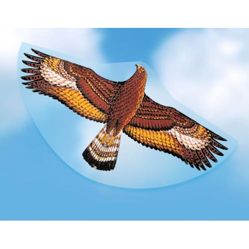 Gunther Steinadler Single Line Kite 122 X 68 Cm  1146 4001664011469