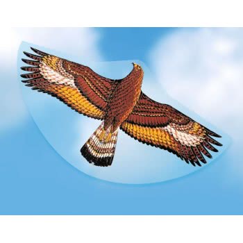 Gunther Steinadler Single Line Kite 122 X 68 Cm  1146 4001664011469