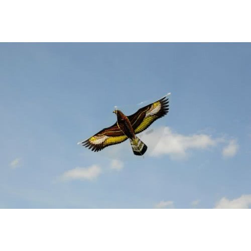 Gunther Steinadler Single Line Kite 122 X 68 Cm  1146 4001664011469