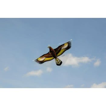 Gunther Steinadler Single Line Kite 122 X 68 Cm  1146 4001664011469