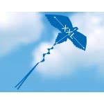 Gunther Cora 3D Line Kite 144 X 80 Cm 1152 4001664011520