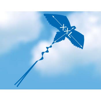 Gunther Cora 3D Line Kite 144 X 80 Cm 1152 4001664011520