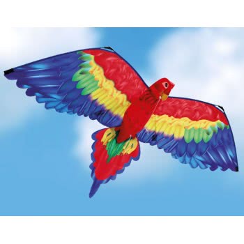 Gunther Cora 3D Line Kite 144 X 80 Cm 1152 4001664011520