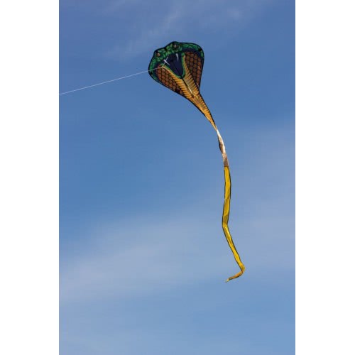 Gunther Cobra Single Line Kite Cobra Approx. 69 X 400 Cm 1154 4001664011544