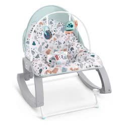 Mattel Deluxe Infant-To-Toddler Rocker, Multi-Coloured GMD21 887961852134