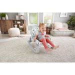 Mattel Deluxe Infant To Toddler Ριλάξ / Κούνια GMD21 887961852134