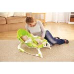 Mattel Newborn To Toddler - Ριλάξ/Κούνια BCD28 746775280857