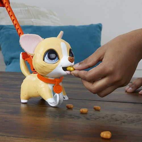 Hasbro Furreal Friends Poopalots Lil Wags Puppy E8899 / E8950 5010993654116
