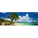 HEYE Puzzle 2000 Panorama Alexander Von Ηumboldt: Paradise Palms 29860 4001689298609